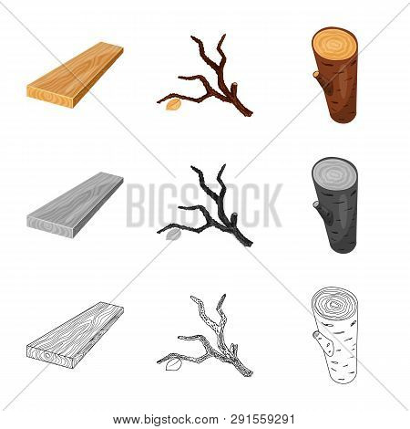 Vector Design Of Tree   And Raw  Sign. Set Of Tree   And Construction Vector Icon For Stock.