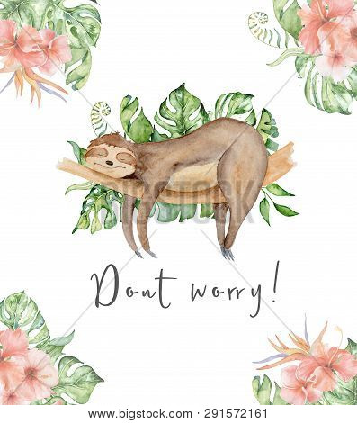 Sloth Bear Watercolor Hand Drawn Illustration With Tropical Leaves And Flowers