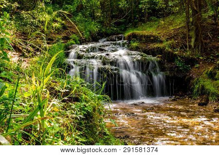 Beautiful Forest Stream, Small Waterfall. Forest Stream 