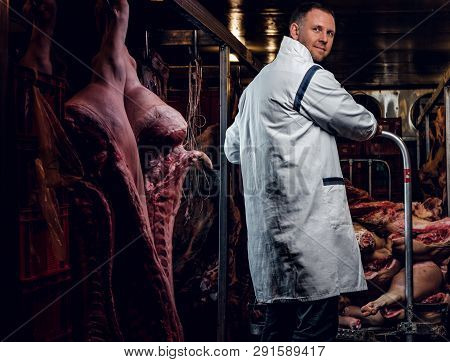 The Butcher In Workwear Working In A Refrigerated Warehouse In The Midst Of Meat Carcasses