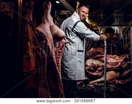 The Butcher In Workwear Working In A Refrigerated Warehouse In The Midst Of Meat Carcasses