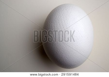 Camel-bird Egg. White Shard On The Same Background. Copy Space