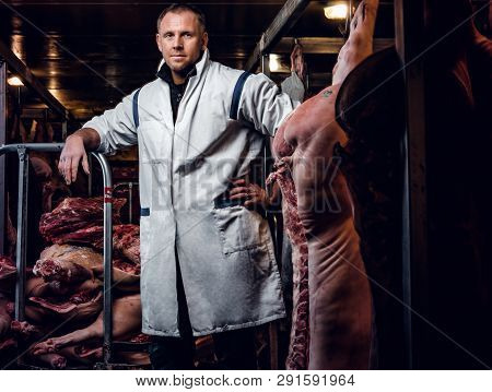 The Butcher In Workwear Posing In A Refrigerated Warehouse In The Midst Of Meat Carcasses
