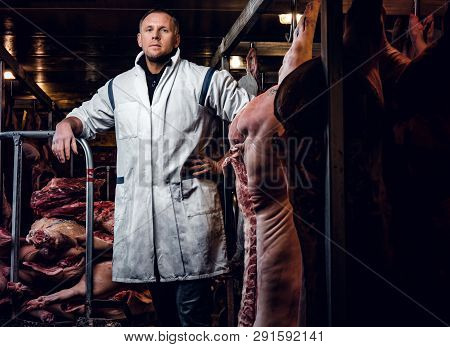 The Butcher In Workwear Posing In A Refrigerated Warehouse In The Midst Of Meat Carcasses