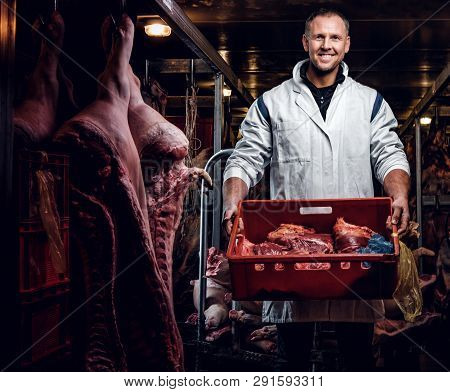 Cheerful Butcher In Workwear Holding A Box With Meat Pieces While Standing In The Midst Of Meat Carc
