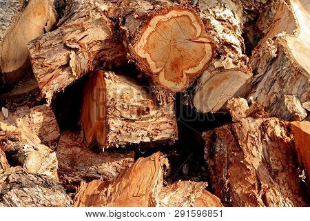 Rustic Timber Stack Of Australian Gum Sawn In To Short Lengths And Stacked Randomly