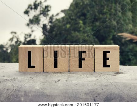 Motivational And Inspirational Word - Life Written On Wooden Blocks. Blurred Styled Background.