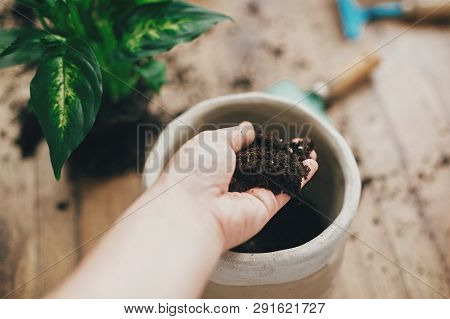 Dirty Hand Holding New Soil At Empty New Pot And Gardening Stylish Tools, Green Plant On Wooden Floo