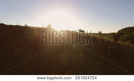 Horse Herd Is Moving. Sun Behind The Hill. Warm Summer Morning. Aerial View Of Two Horsemen.