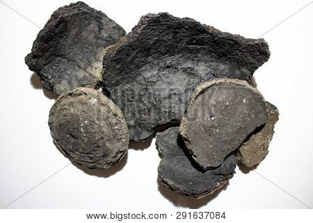 Ancient Molded Ceramics Of Zarubintsy Culture Of The Early Iron Age With Archaeological Excavations