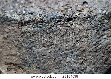 Ancient Molded Ceramics Of Zarubintsy Culture Of The Early Iron Age With Archaeological Excavations.