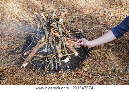 Bonfire In The Spring Forest On The Background Of Withered Grass. In The Frame Of The Hand Of A Man.