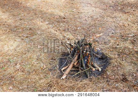 Bonfire In The Spring Forest On The Background Of Withered Grass.