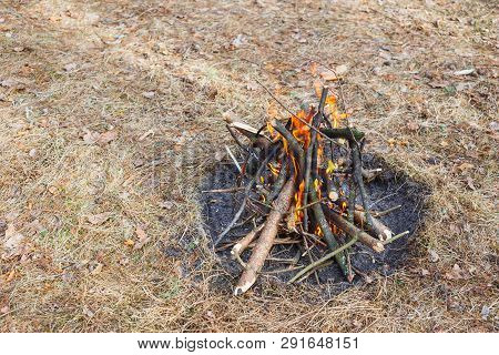Bonfire In The Spring Forest On The Background Of Withered Grass.