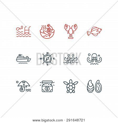 Vector Illustration Of 12 Marine Icons Line Style. Editable Set Of Sea Turtle, Octopus, Ship And Oth