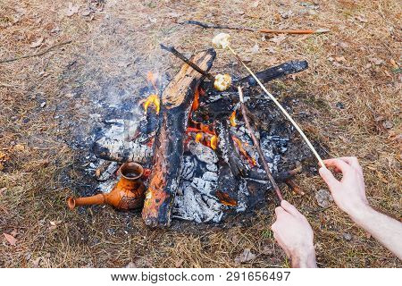 At The Stake In The Spring Forest, A Clay Turkish Coffee Pot Is Heated Against The Grass. In The Fra