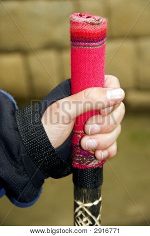 Walkingstick
