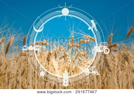 Iot, Smart Farming And Agritech. Digital Sensor Icons For Management, Control And Monitoring Agricul