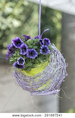 Hanging Bellflower For Home Decor