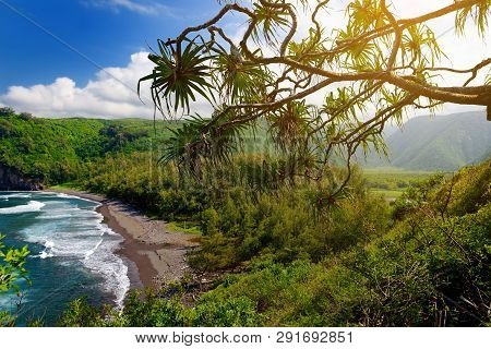 Stunning View Of Rocky Beach Of Pololu Valley, Big Island, Hawaii, Taken From Pololu Trail.