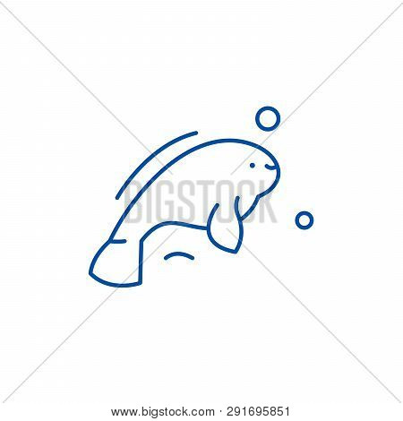 Beluga Line Icon Concept. Beluga Flat  Vector Symbol, Sign, Outline Illustration.