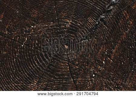 Old Wood Texture.vintage Background.macro Image.top View, Flat Lay.copy Space For Text.