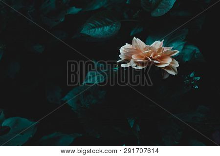 Flowers In The Design Of Natural Dark Tones.art Floral Dark Green-blue Background.the Image Is The A