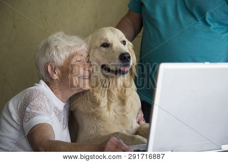 Elderly Woman,pension, Grandmother, Laptop And Dog, Golden Retriever