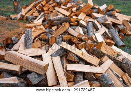 Preparation Of Firewood For The Winter. Firewood Background, Stacks Of Firewood In The Forest.