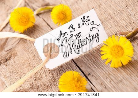 Label, Dandelion, Calligraphy Muttertag Means Happy Mothers Day