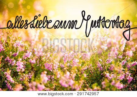 Erica Flower Field, Calligraphy Muttertag Means Happy Mothers Day
