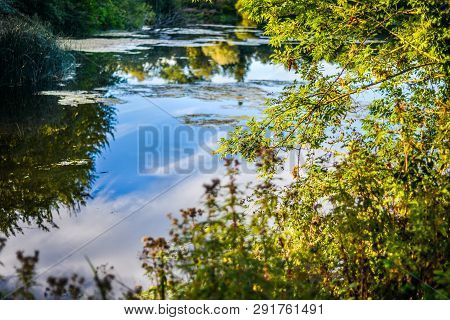 Surrounding Trees And The Blue Late Afternoon Sky Reflect In The Calm Water Of The Lake,hampshire,en