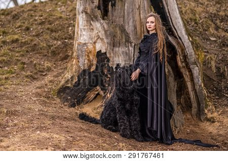 Art Photography. Beautiful Princess In Black Dress With Crown And Her Dog In Forest Against  Big Bur