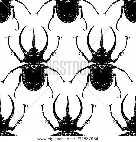 Insect Beetle Isolated On White Background. Seamless Pattern. Black And White Sketch. Realistic Draw