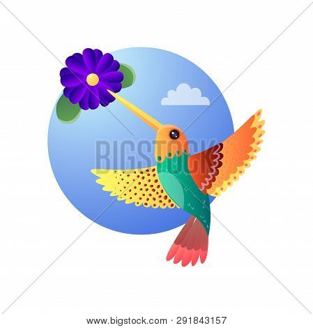 Hummingbirds With Color Plumage Flying And Collecting Nectar From Exotic Bloomy Flower