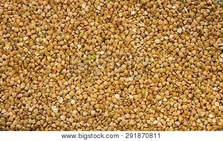 Texture Of Raw Green Buckwheat With A Heart-shaped Green Grain In The Center