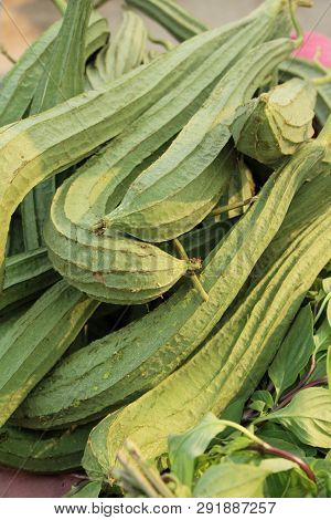Luffa Acutangula For Cooking At Street Food