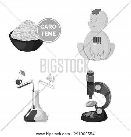 Isolated Object Of Transgenic And Organic Sign. Set Of Transgenic And Synthetic Stock Vector Illustr