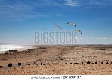 Namib Desert, Skeleton Coast, Namibia
