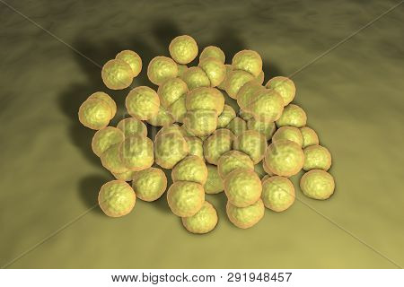 Colony Of Bacteria Micrococcus Luteus, 3d Illustration. Gram-positive Cocci Producing Yellow Pigment