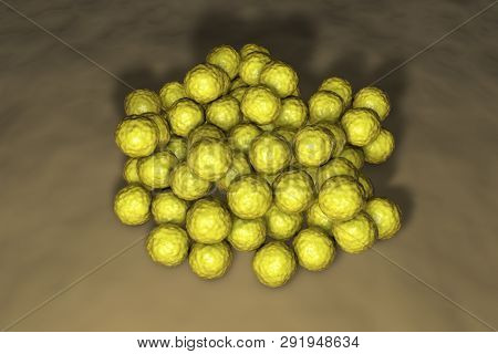 Colony Of Bacteria Micrococcus Luteus, 3d Illustration. Gram-positive Cocci Producing Yellow Pigment