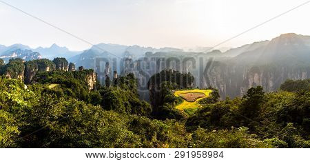 Spectacular Rice Terrace Panorama In Front Of Laowuchang Village At Sunset, In Yuanjiajie Area Of Wu
