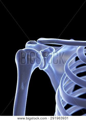 3d rendered medically accurate illustration of the shoulder joint