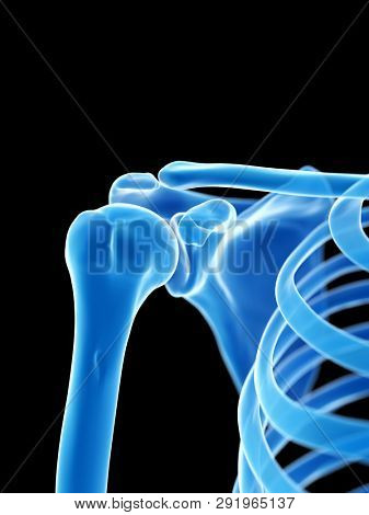 3d rendered medically accurate illustration of the shoulder joint