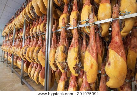 Jamon Serrano Spanish Ham Cellar. Food Industry