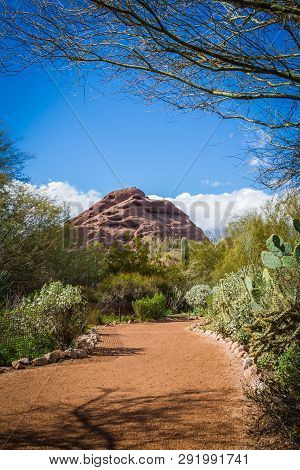 A Trail Leading To The Papago Mountains Of Phoenix With A Brilliant Blue Sky And Desert Plants Along