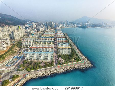 Cherry Blossoms Blooming In Namcheondong , Suyeonggu, Busan, South Korea, Asia