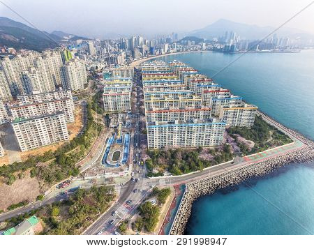 Cherry Blossoms Blooming In Namcheondong , Suyeonggu, Busan, South Korea, Asia