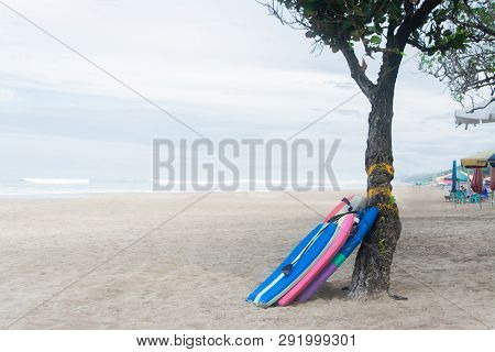 Three Surfing Board Under The Tree In Seminyak Beach Kuta Bali. Small Surfboard Or Shortboard Color 