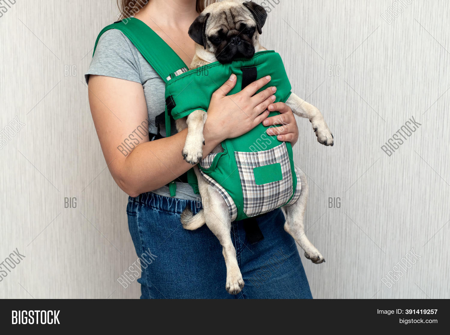 dog kangaroo carrier